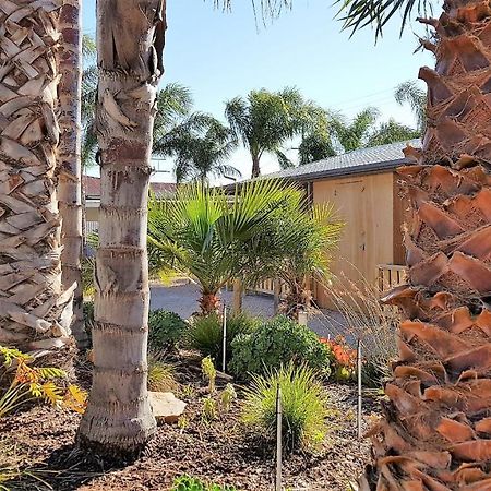 The Courtyard - Garden View Studio Port Pirie Εξωτερικό φωτογραφία