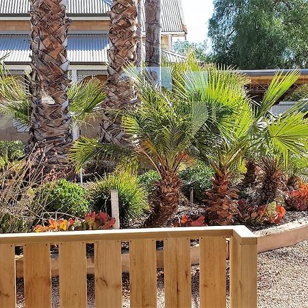 The Courtyard - Garden View Studio Port Pirie Εξωτερικό φωτογραφία